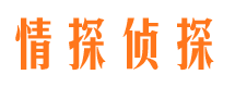 玄武市调查公司